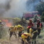 Región de Los Lagos reporta 167 incendios forestales en temporada 2024-2025