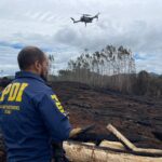 PDI investiga incendio forestal que afectó 11 hectáreas en Huitrapulli