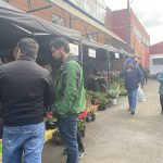 Viveristas y emprendedores se reúnen en feria en pleno centro de Osorno