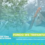 Fondo We Tripantu 2025: postulaciones hasta el 9 de junio